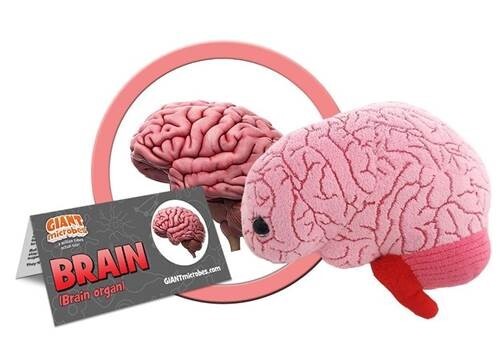 GIANTMicrobes logo