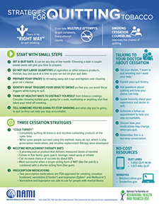 Strategies for Quitting Smoking Infographic